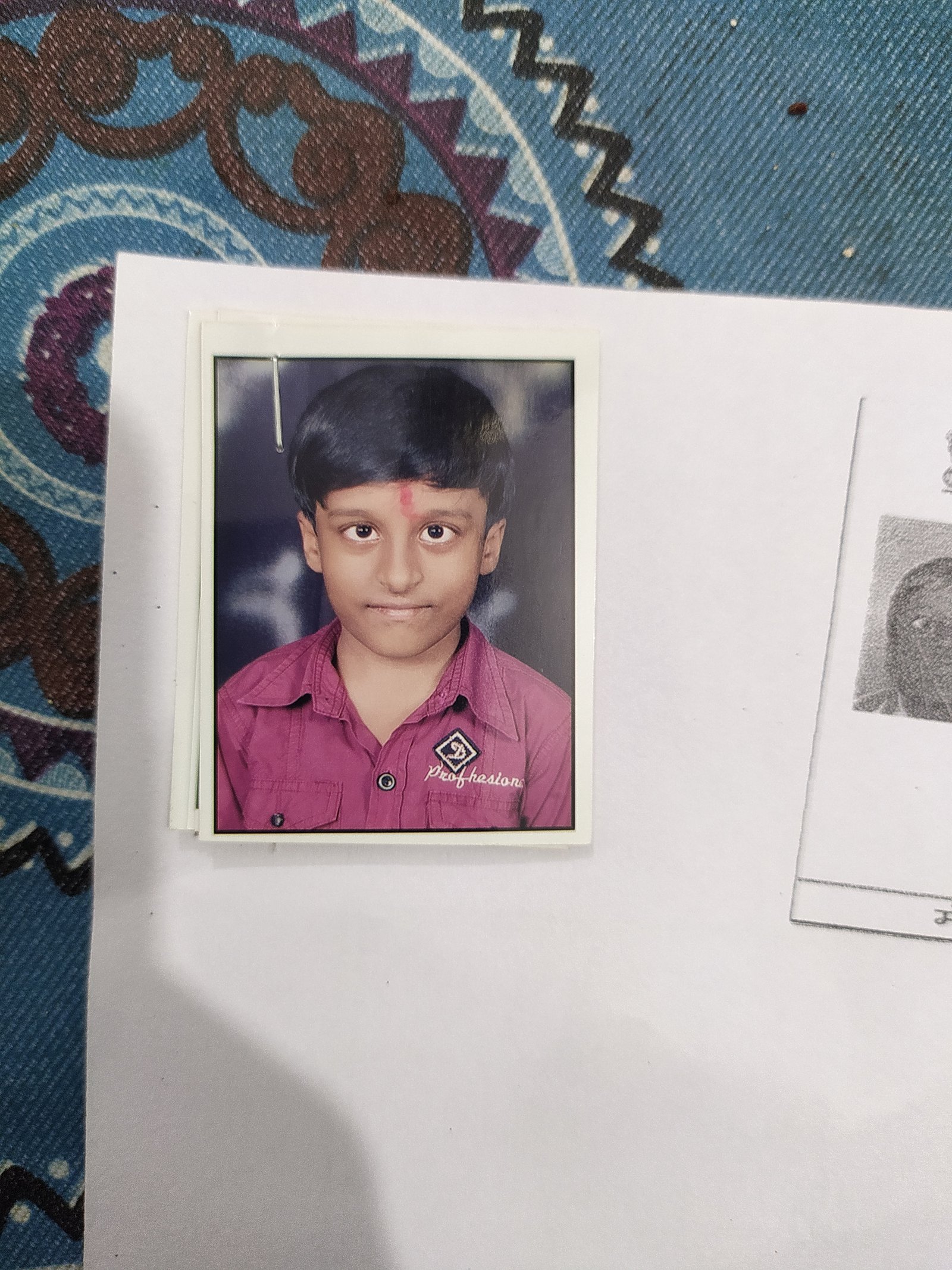 Bhaumik Raj
