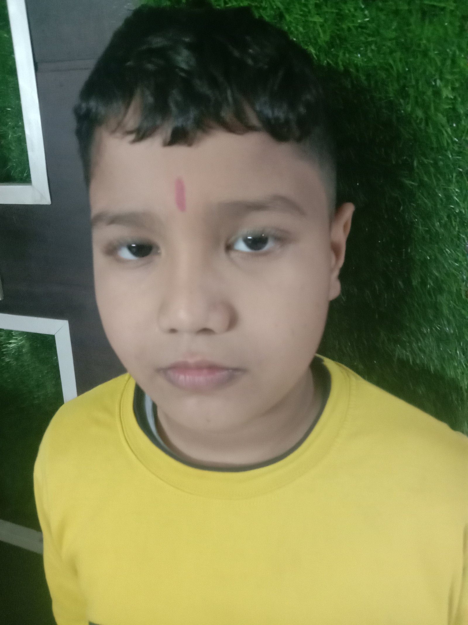 Manvik Poonia